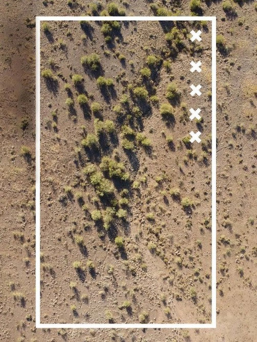 Guide to Building a Metal Detecting Test Garden