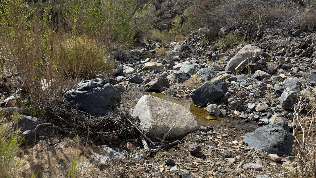 Where's The Gold? July/August 2025