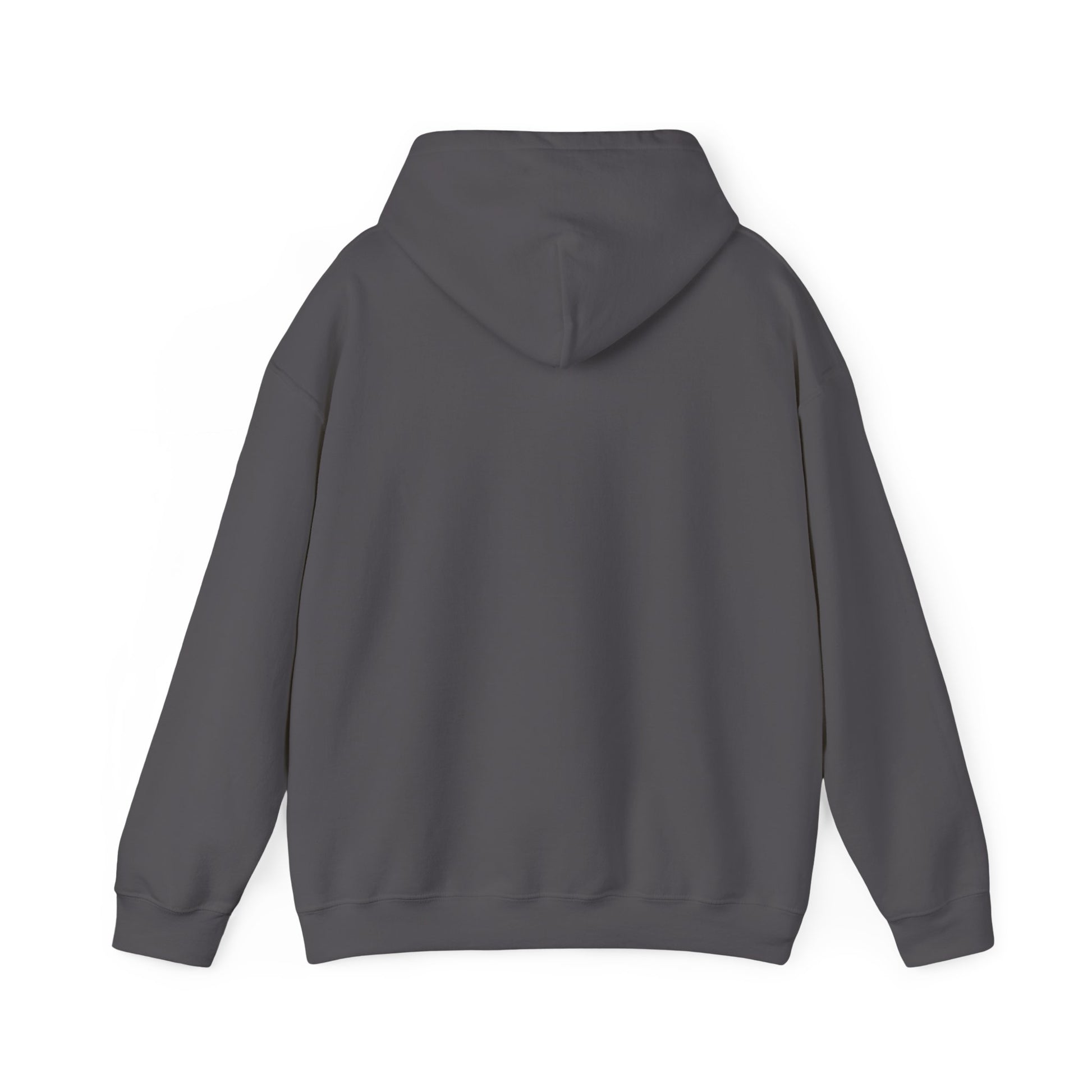 GOLD Picks Hooded Sweatshirt | Gold Prospectors Association of America