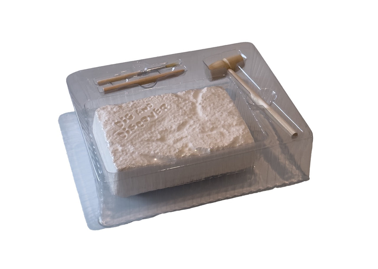 Rocks & Minerals Mining Kit | Gold Prospectors Association of America