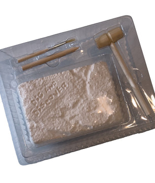 Rocks & Minerals Mining Kit | Gold Prospectors Association of America