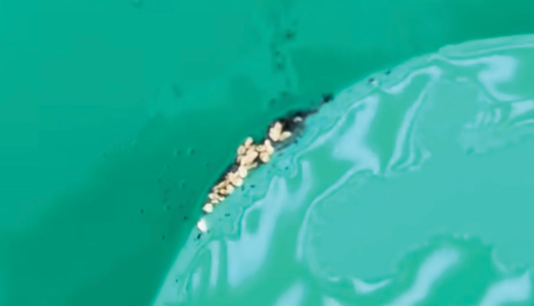 The Young Geologist Bundle